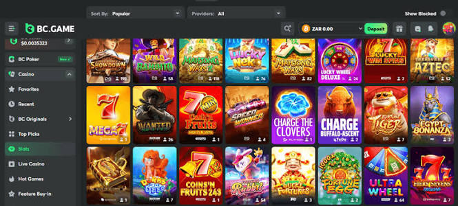 Exploring the BC.Game Casino Platform A Comprehensive Guide -227809666